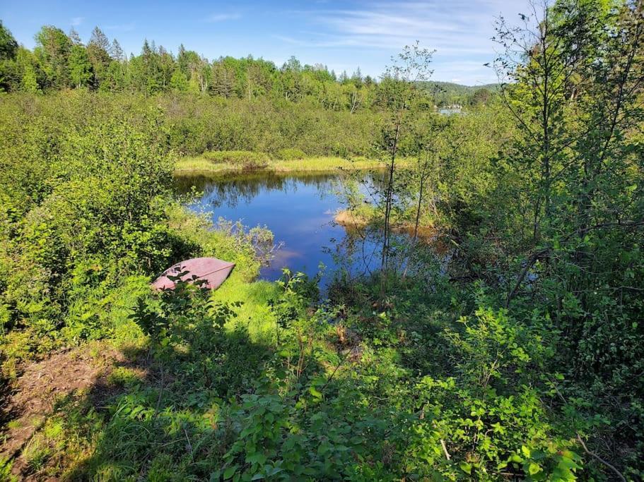 Chalets Nabu La Sacacomie - Riviere - Billard 상트-알렉시-데-몽 외부 사진