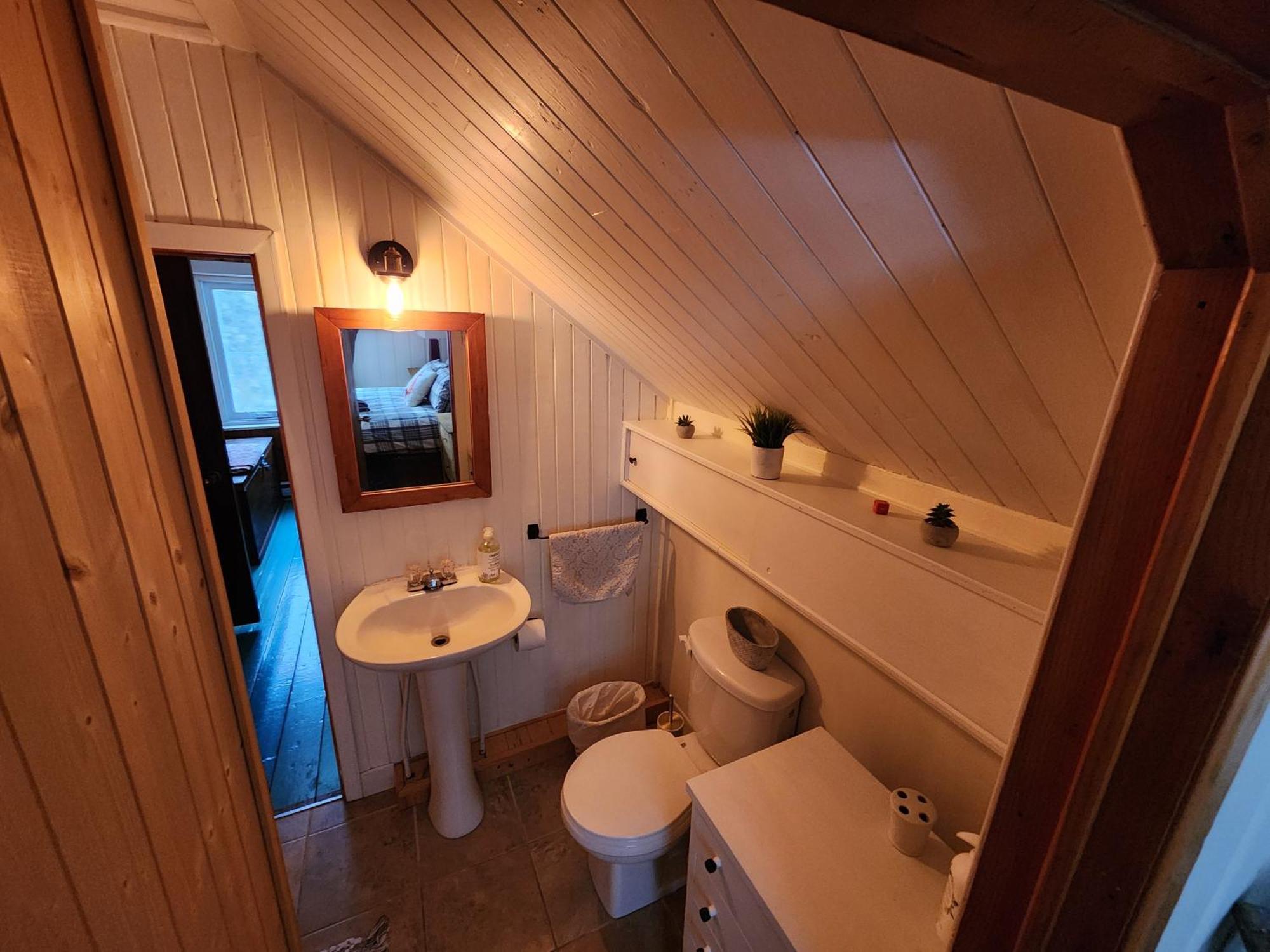 Chalets Nabu La Sacacomie - Riviere - Billard 상트-알렉시-데-몽 외부 사진
